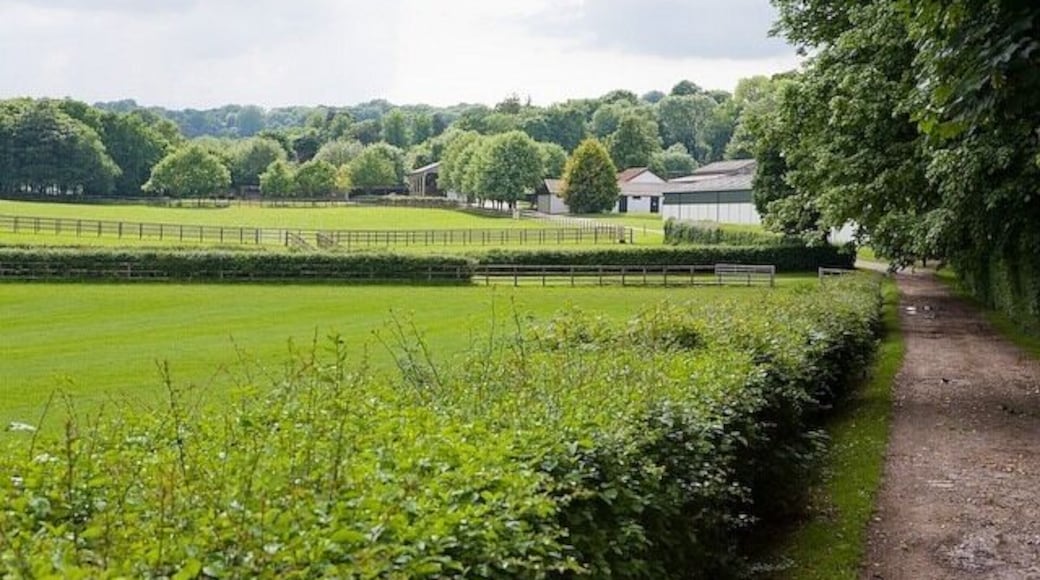 Approaching Blackness Buildings on footpath The fields and buildings are, I presume, part of Littleton Stud farm.