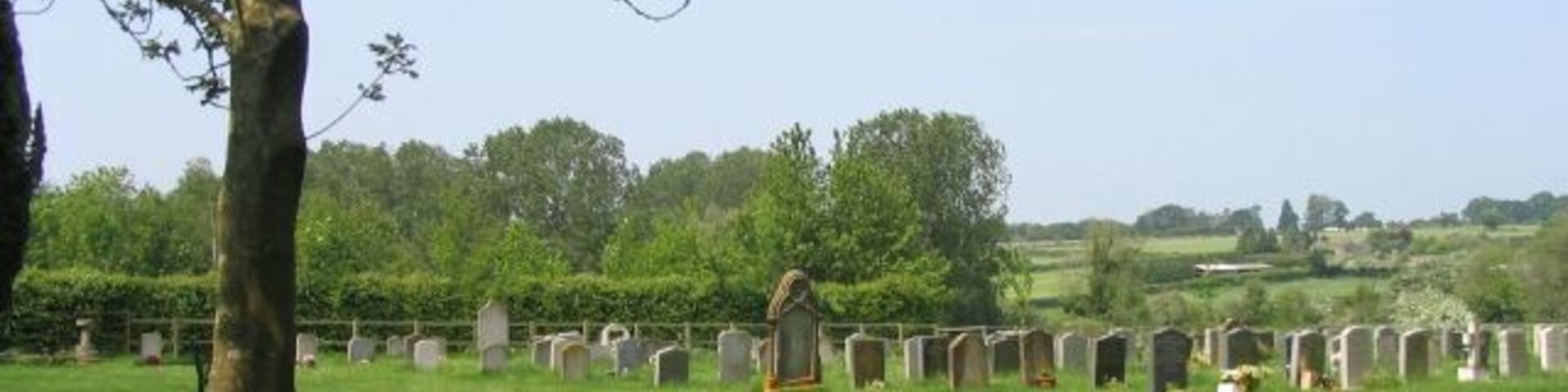 A cemetery with headstones and a large tree in the foreground.