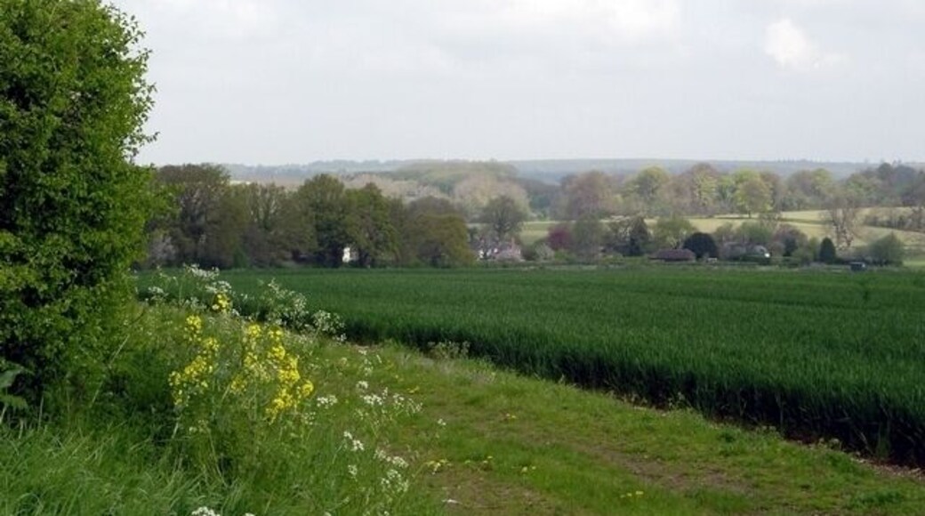 Field south east of Micheldever. Looking towards Micheldever from the Winchester Road near Coles Barn.