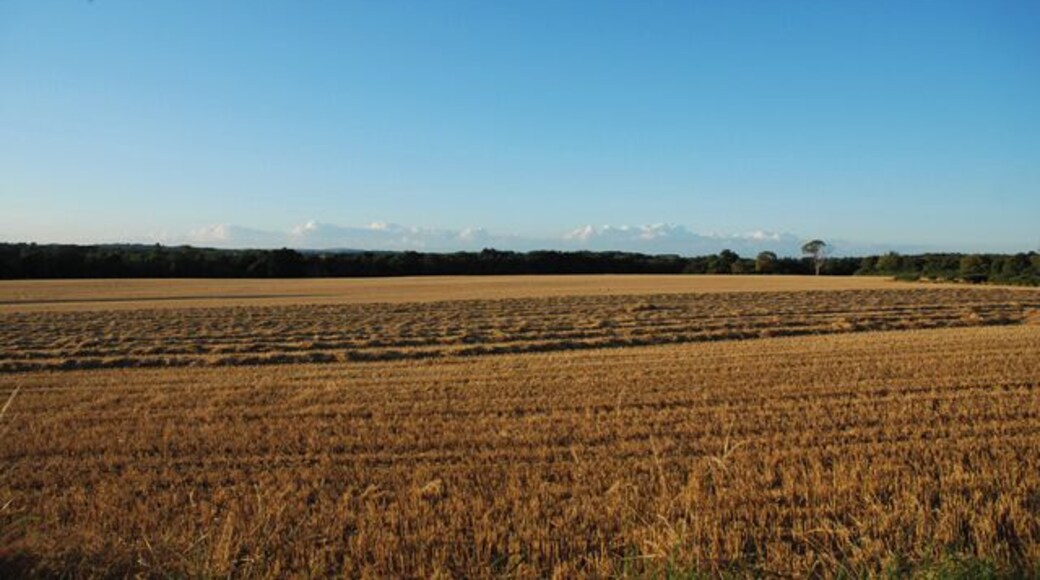 Time to bale, Manor House Farm, Barton Stacey