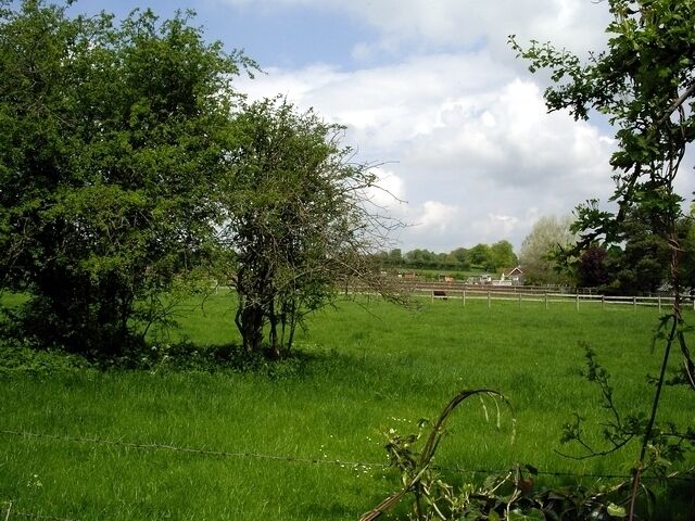Paddock and field in Northbrook. Just north of the Northbrook to Weston Collet road.