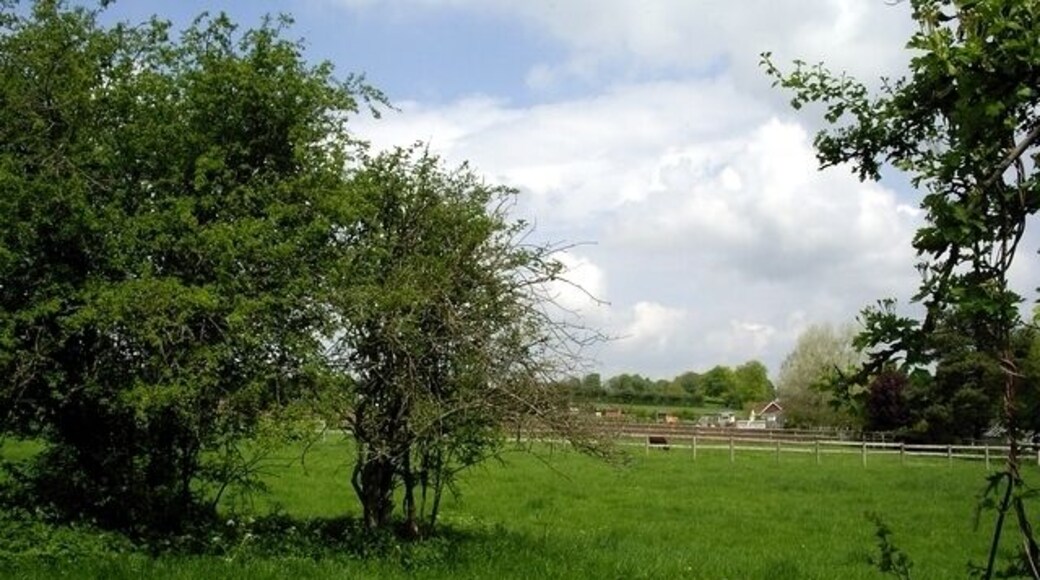 Paddock and field in Northbrook. Just north of the Northbrook to Weston Collet road.