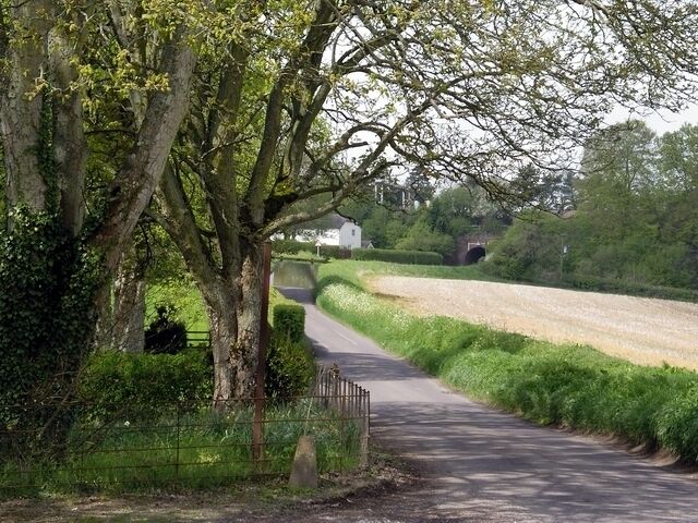 Entrance to Borough Farm on the road to Stoke Charity. The photographer is standing by the entrance to Borough Farm, looking west towards where the road passes under the London to Southampton mainline.