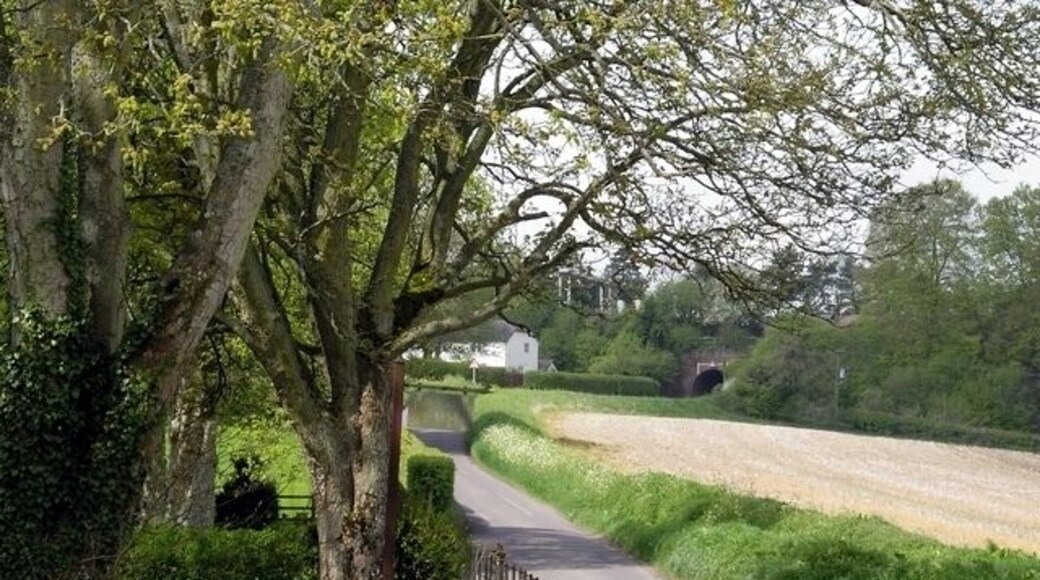 Entrance to Borough Farm on the road to Stoke Charity. The photographer is standing by the entrance to Borough Farm, looking west towards where the road passes under the London to Southampton mainline.