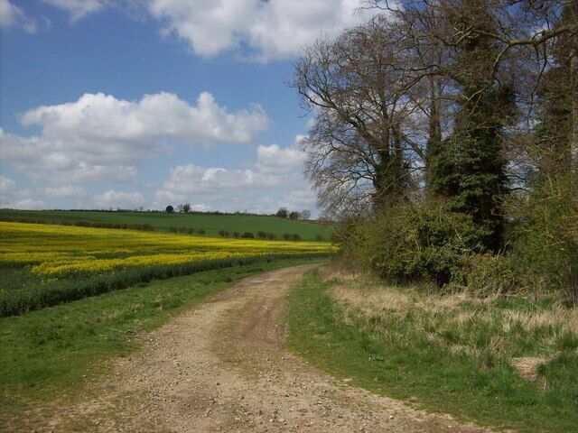 Barton Stacey - Oil Seed Rape Field The yellow peril has made it's self known earlier than usual this year.