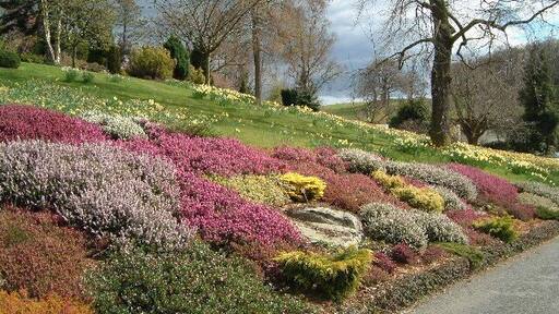Holehird Gardens, near Windermere, are open to the public