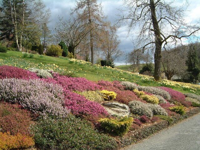 A landscaped garden with various flower beds in different colors.