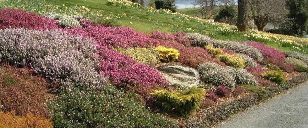 A landscaped garden with various flower beds in different colors.