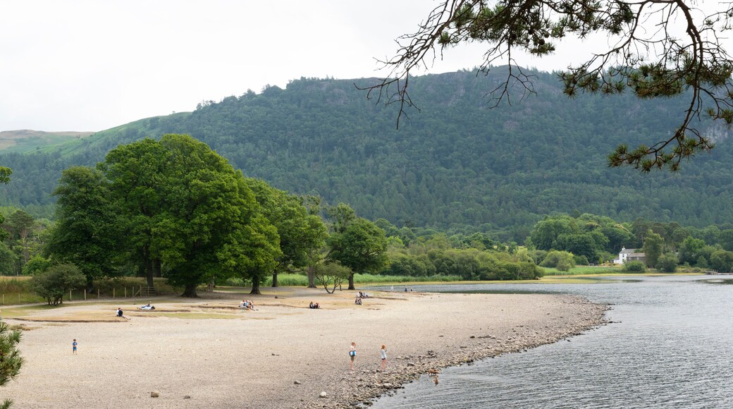 Una playa junto al río, con gente, árboles y una colina al fondo.