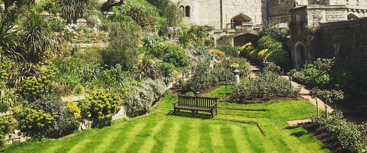 #green and beautiful