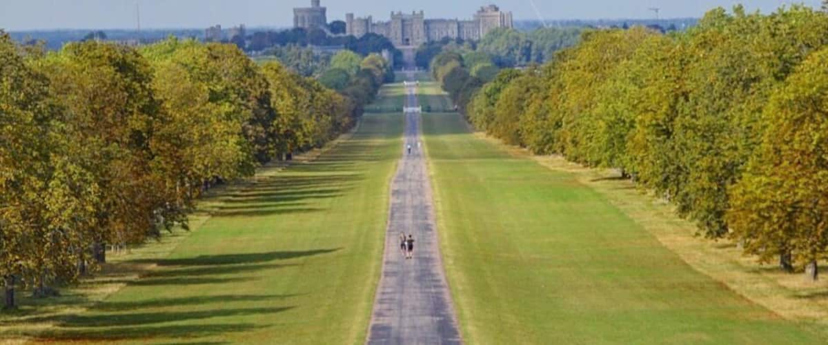 ...such a perfectly laid out piece of heaven. The Great Walk is no exaggerated by any means.