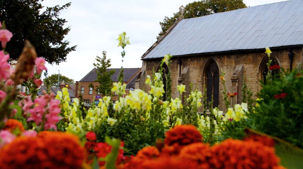 Wisbech showing flowers