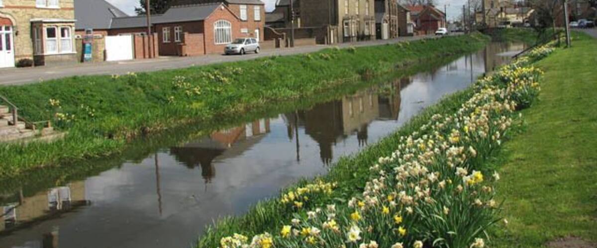 A canal with water lilies and houses along the banks.