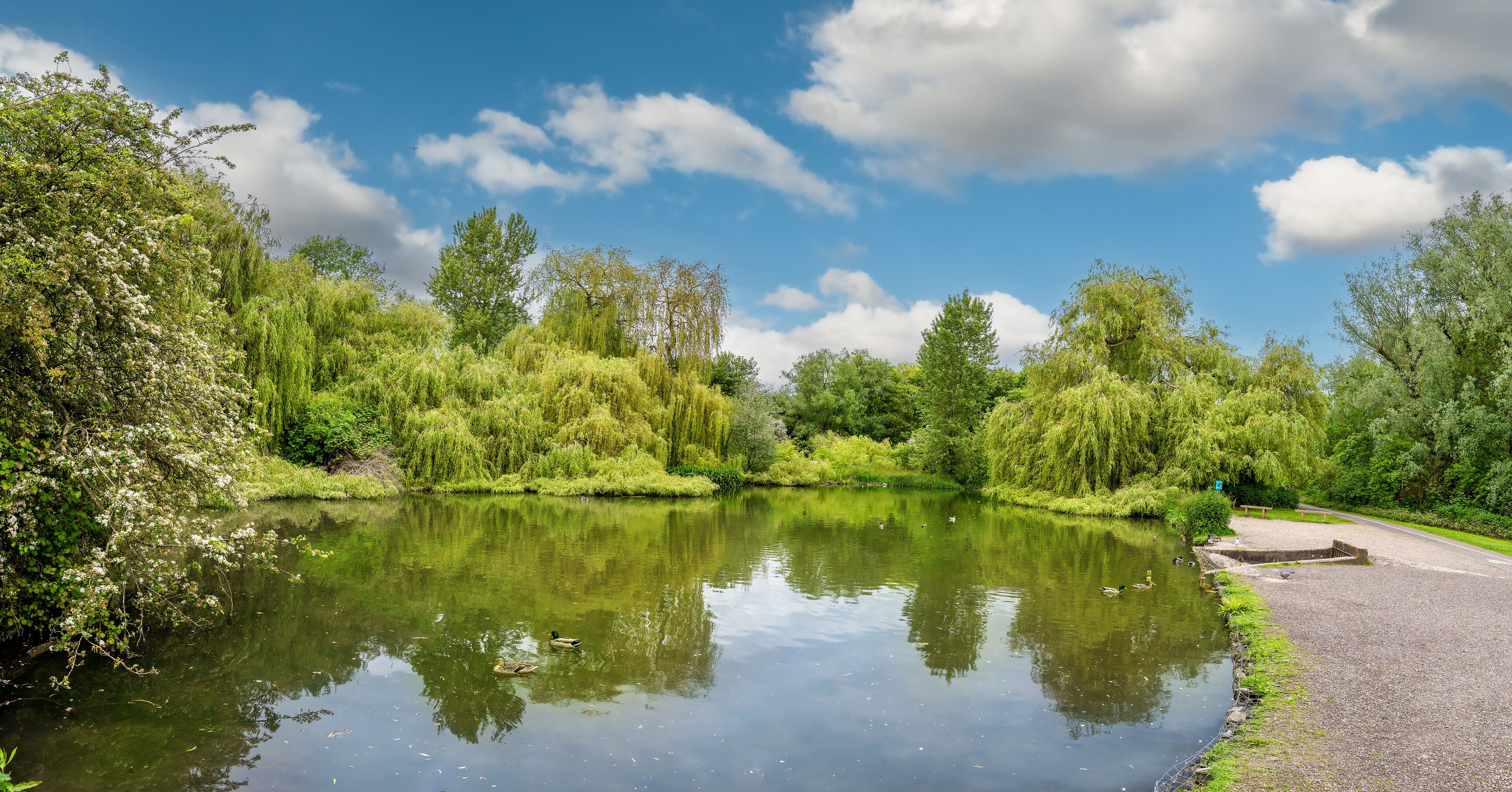 A calm river with ducks, surrounded by lush greenery and trees.