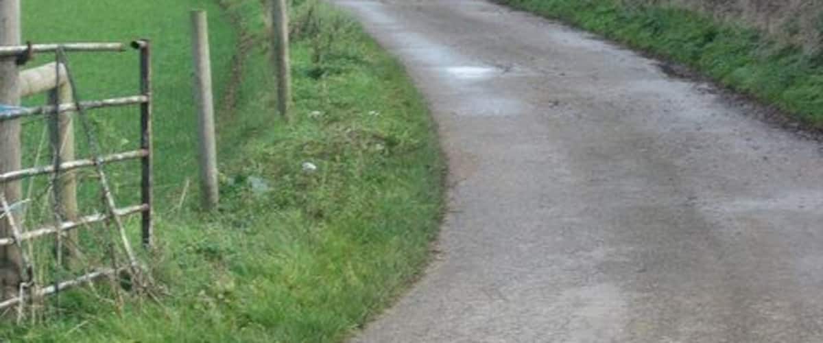 A rural road curving through a green field with a wooden fence on one side.