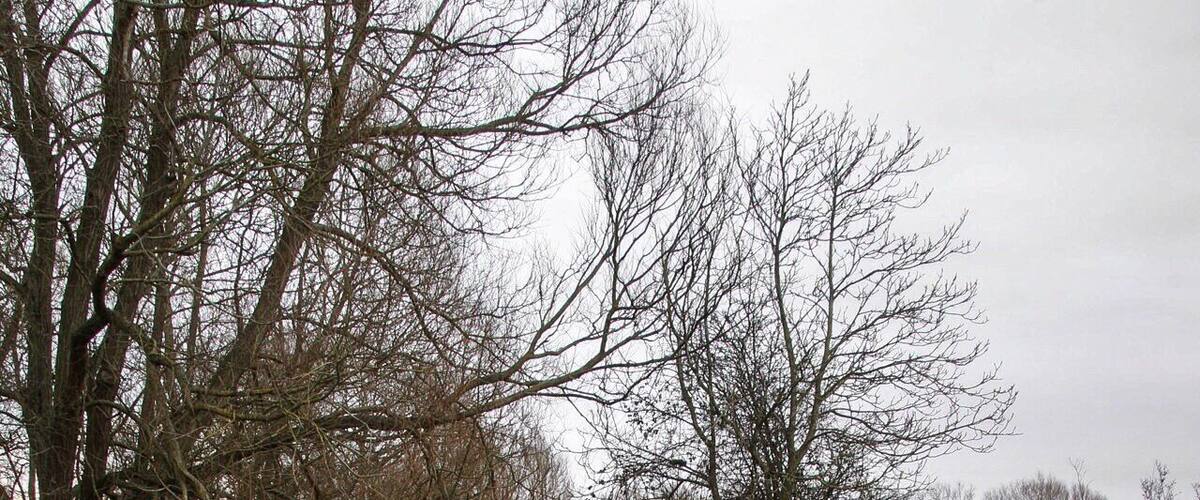 A shot near Witney lake on the windrush river just a wonderful place