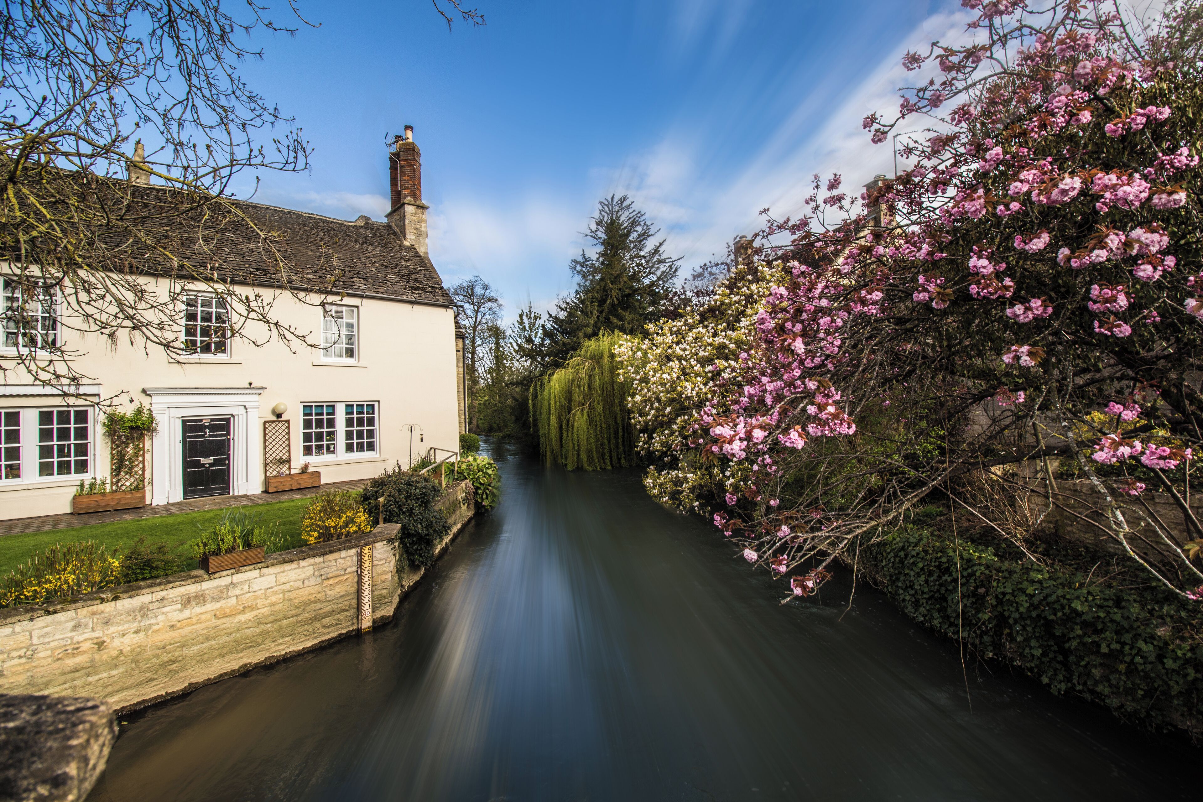 A narrow canal flanked by blooming pink trees and a white building with a black door.
