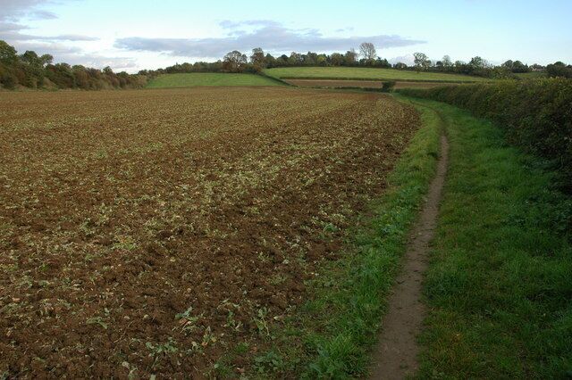 Bridleway near Long Hanborough The Worcester to Oxford railway is behind the trees on the left.