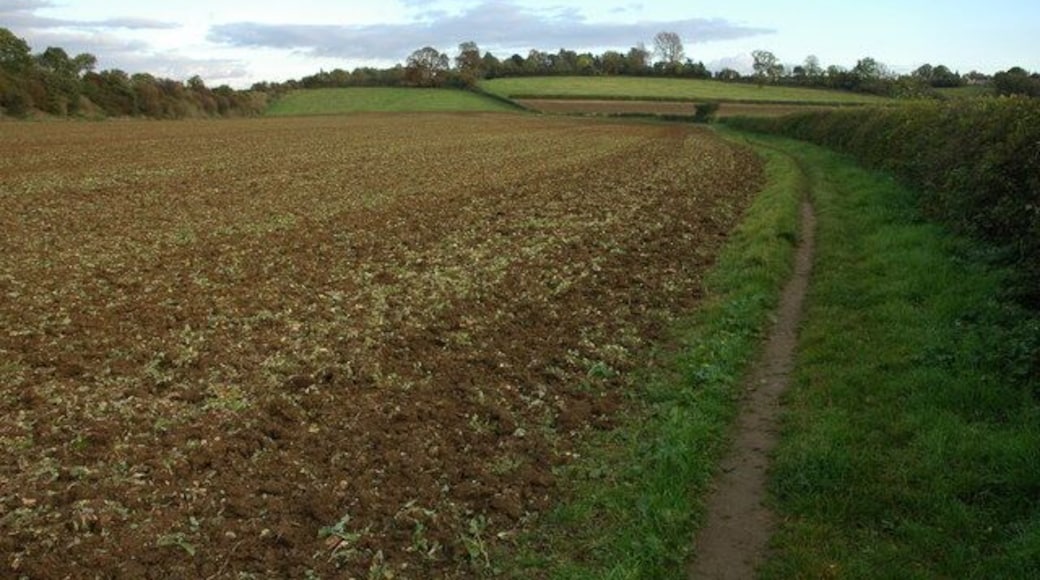 Bridleway near Long Hanborough The Worcester to Oxford railway is behind the trees on the left.