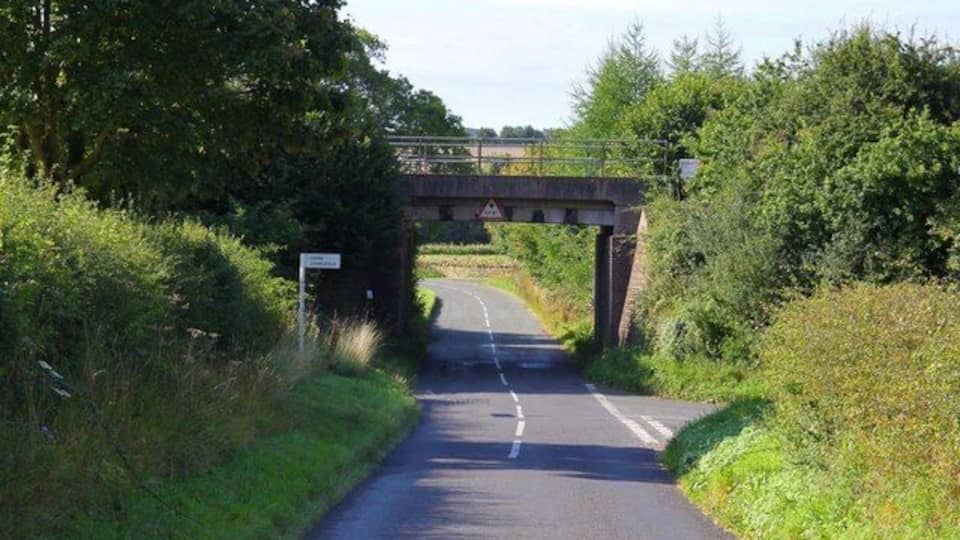 A narrow road under a bridge with greenery on both sides.