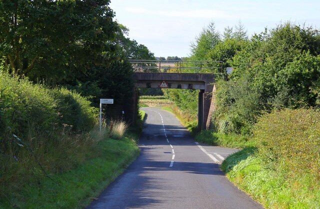 A narrow road under a bridge with greenery on both sides.