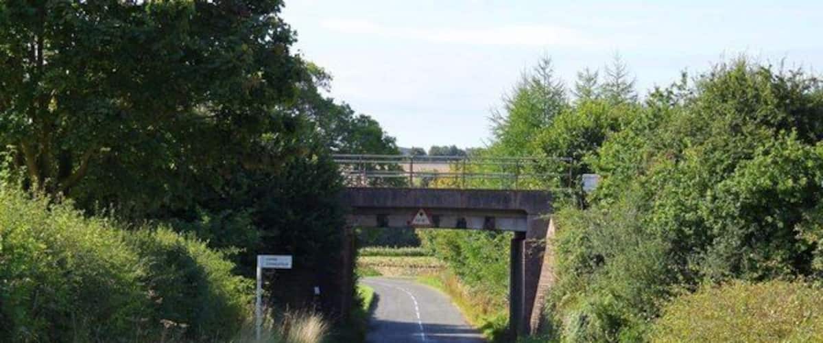 A narrow road under a bridge with greenery on both sides.