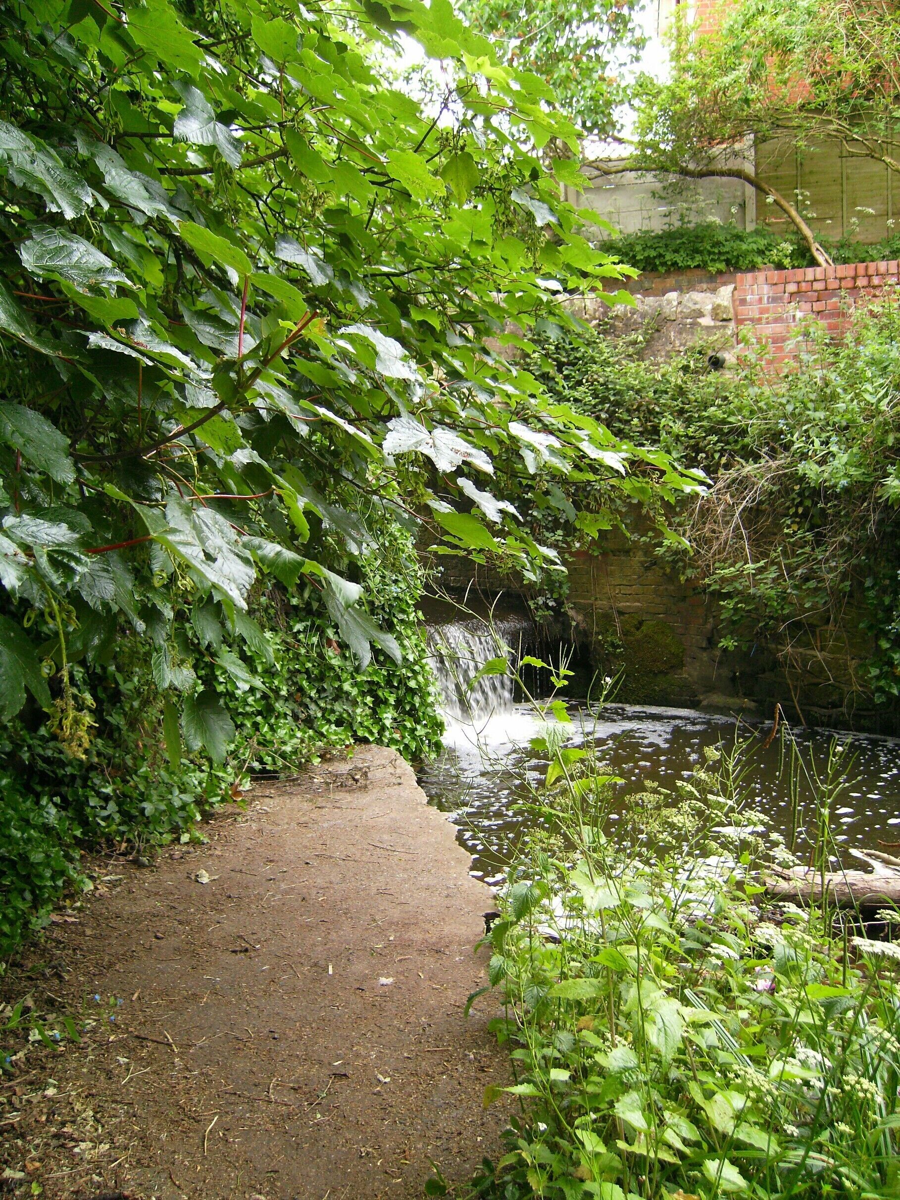 Wom Brook at Pool Dam, Wombourne, South Staffs, England. Site of a former water wheel.