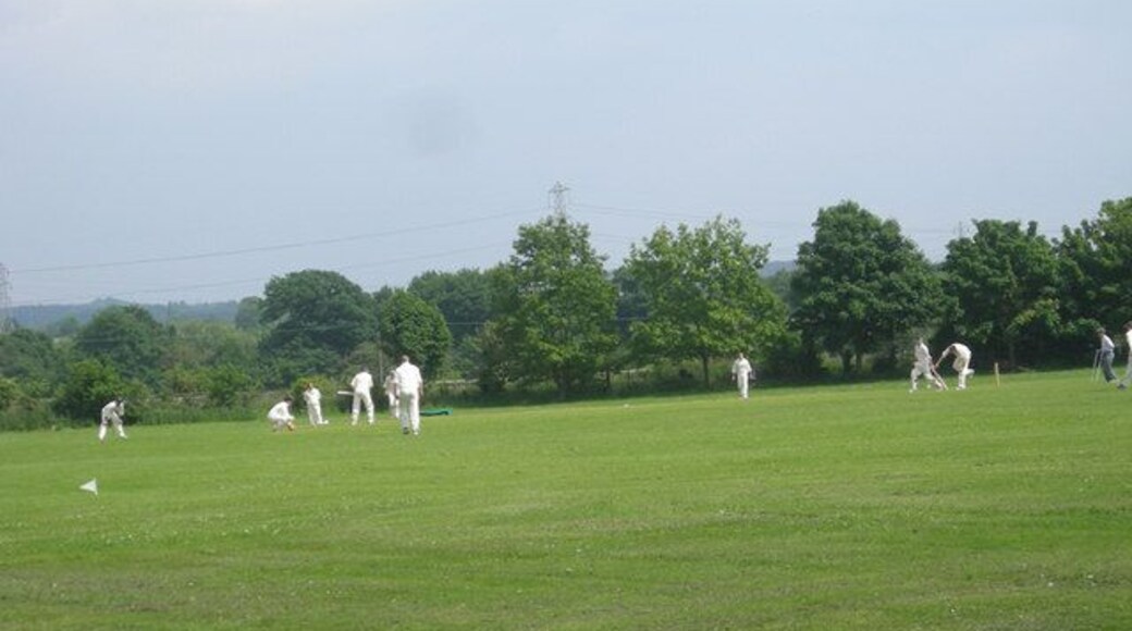 Cricket, lovely Cricket