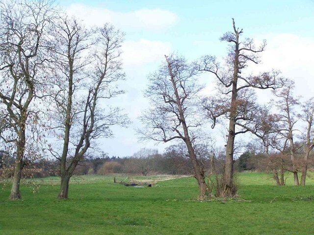 Towards Smestow Brook, Trysull