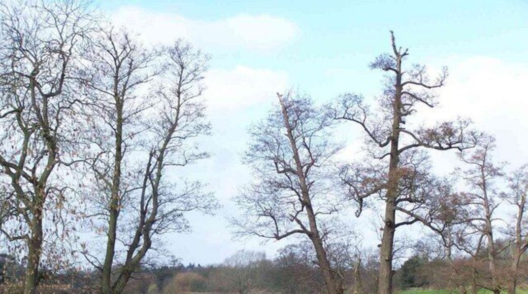 Towards Smestow Brook, Trysull