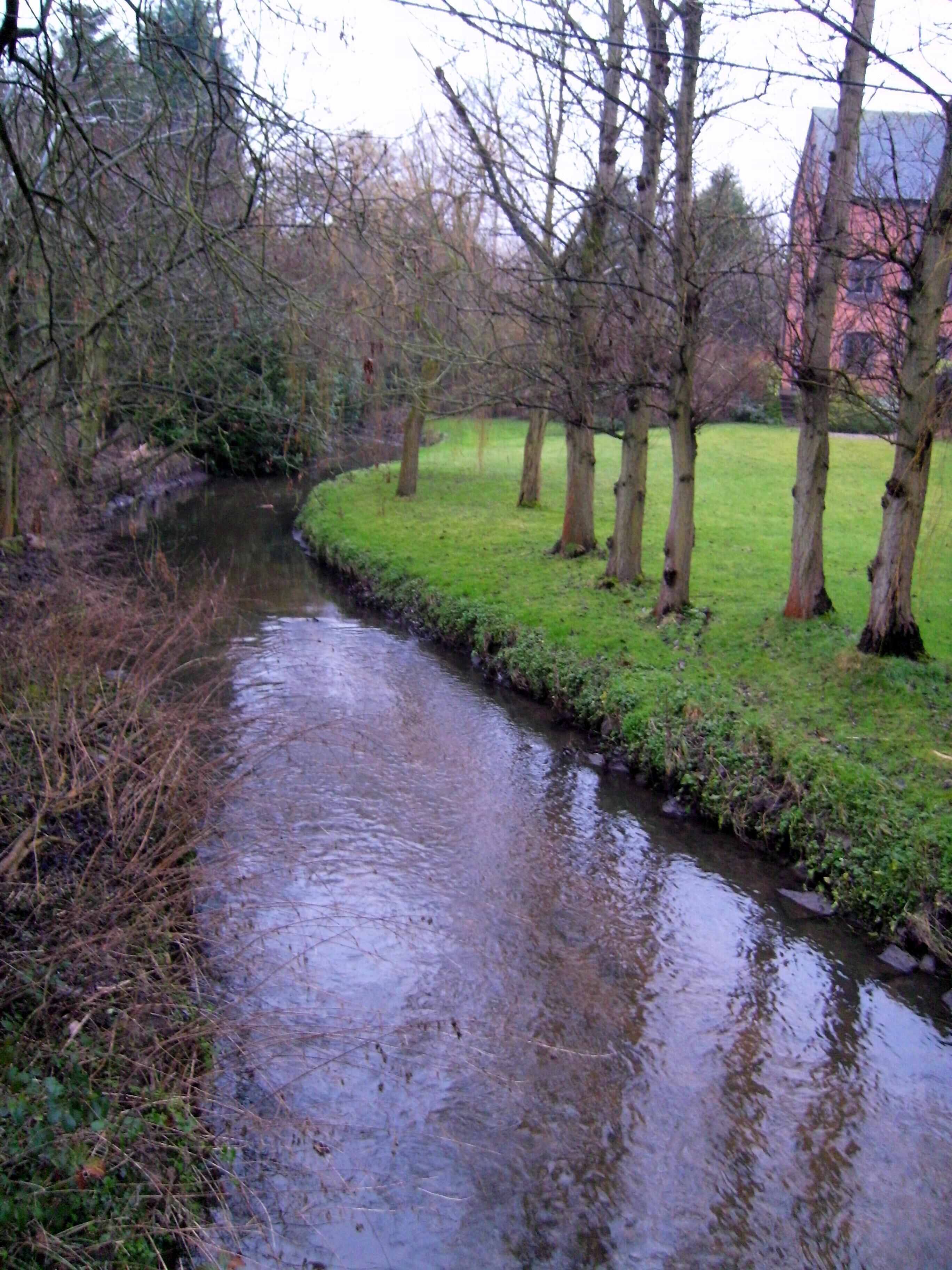 A narrow stream with trees on both sides, a grassy area, and a building in the background.