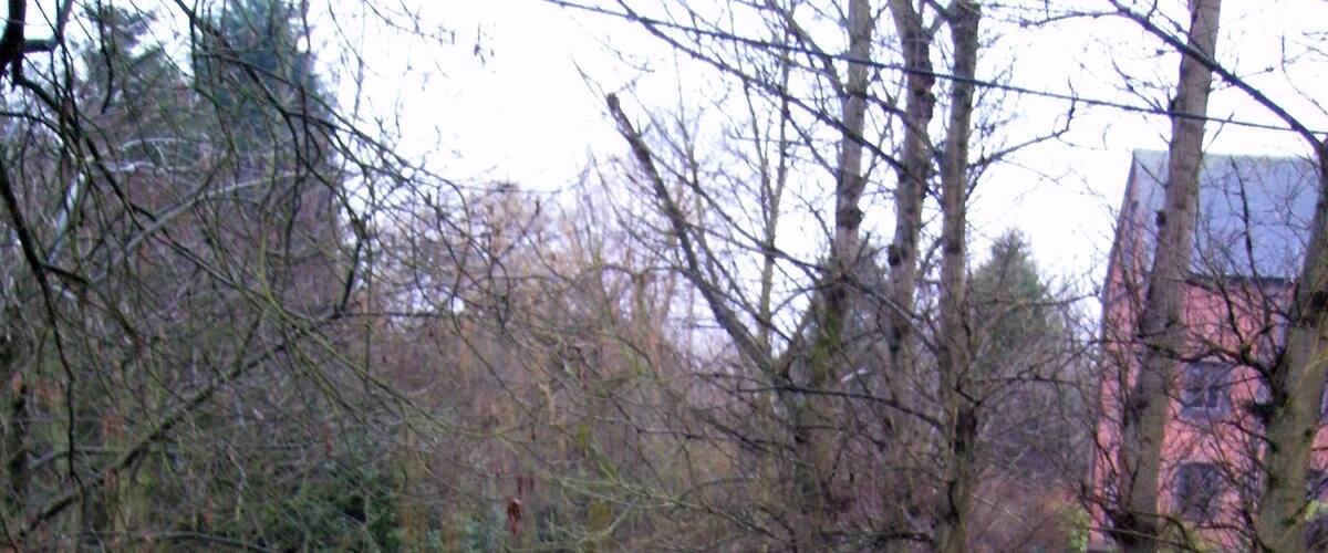 A narrow stream with trees on both sides, a grassy area, and a building in the background.
