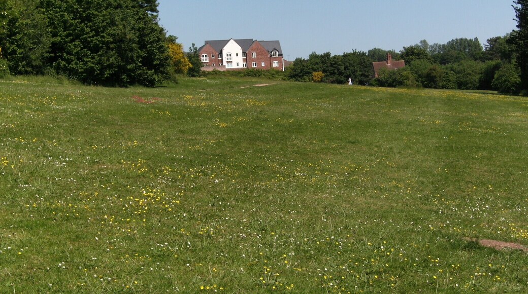 Ham Meadow, Wombourne, South Staffordshire, England, viewed towards the village centre.