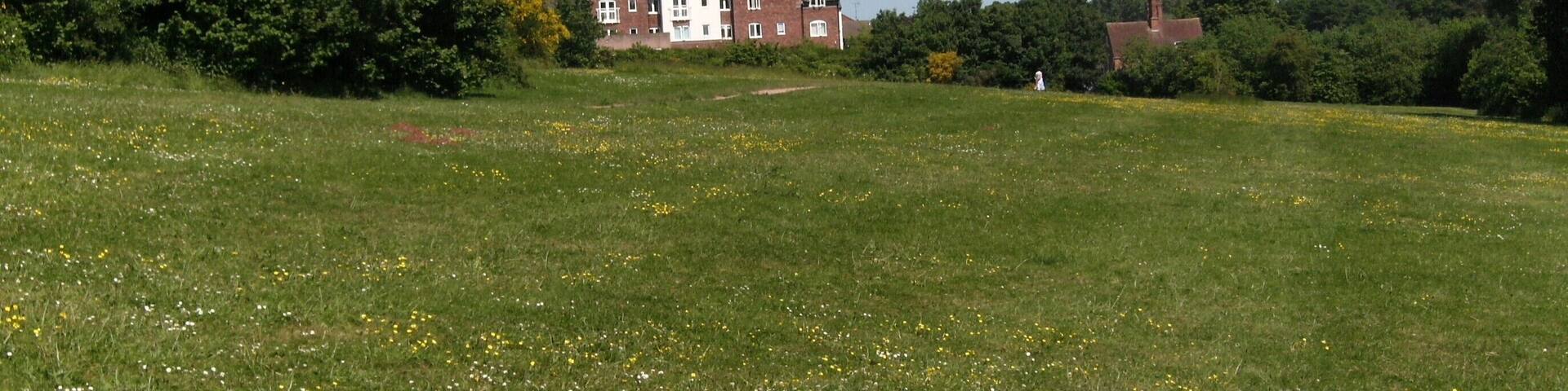A grassy field with yellow flowers and a large red brick house in the background.