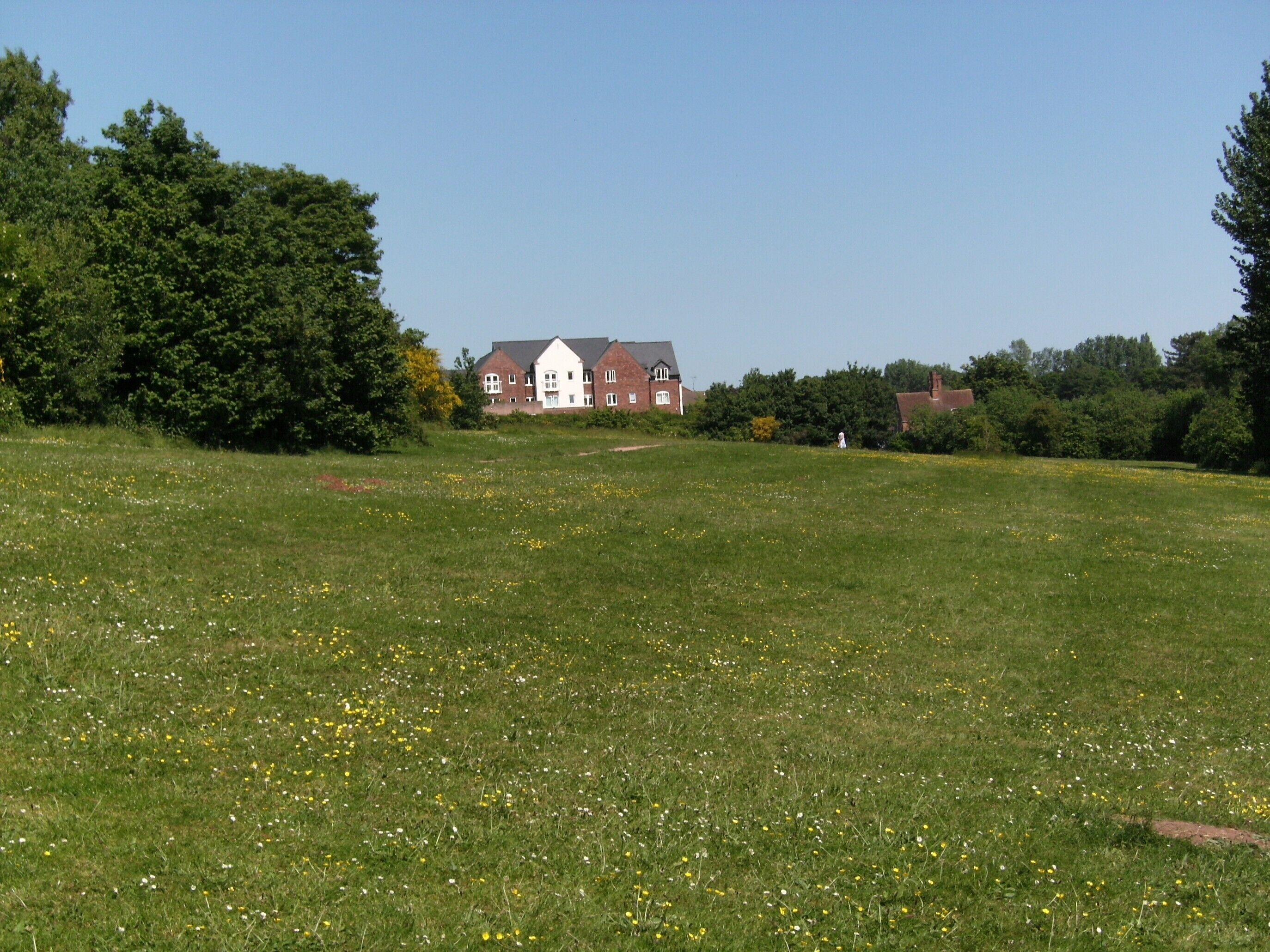 A grassy field with yellow flowers and a large red brick house in the background.