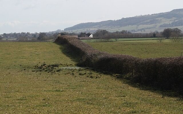 Pond in pasture near Baughton Hill Farm In a dip in the field by the thick hedge. Bourne Farm in the distance with the northern edge of Bredon Hill behind.