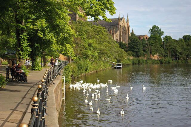 A river with swans, a bridge, and a historic building in the background.