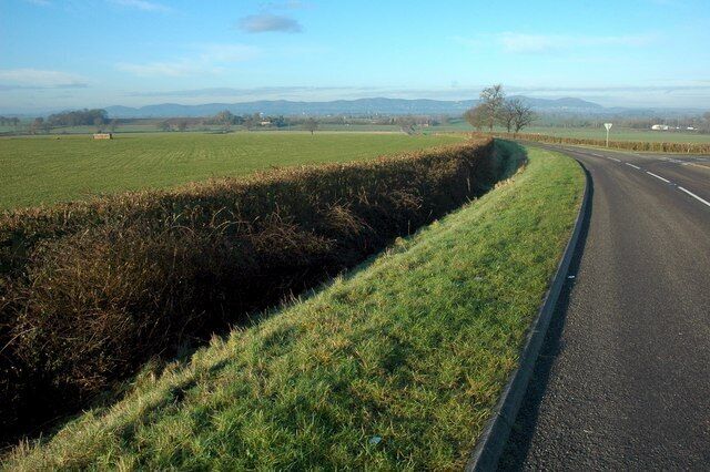 Road to Naunton The road to Naunton from Strensham with the line of the Malvern Hills on the horizon.