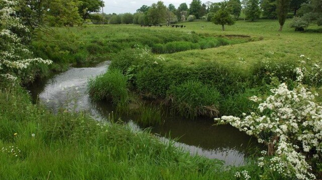 Bow Brook near Froxmere Court Bow Brook flows along the western edge of parkland near Froxmere Court. The brook is a tributary of the River Avon, flowing into it near Defford.
