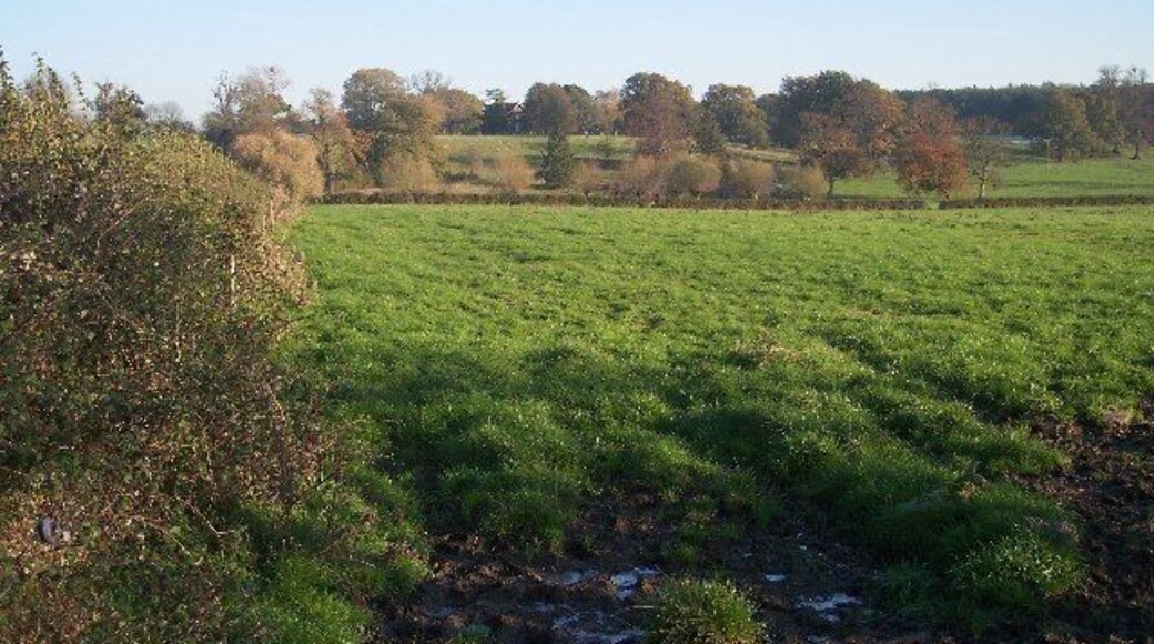 Froxmere Court and Bow Wood. Viewed from the west.