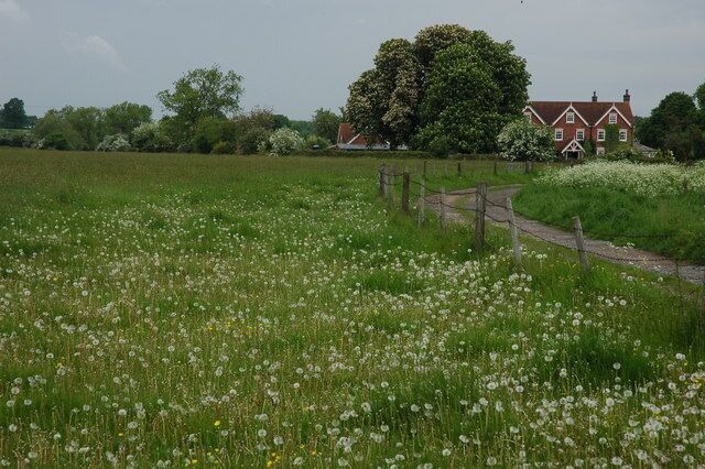 A rural landscape with a field of white flowers, a wooden fence, and a red-roofed house in the background.
