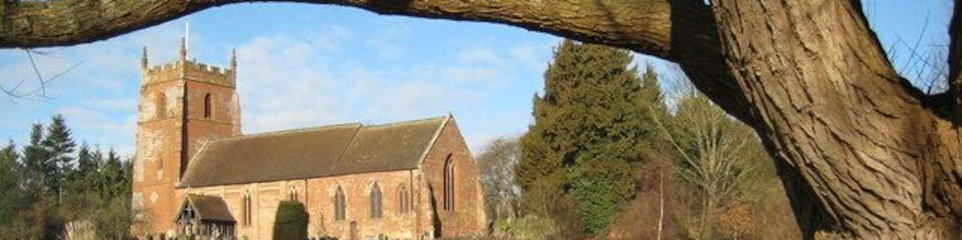 Martley Church St Peter's church, Martley, framed by a willow tree on Millennium Green.