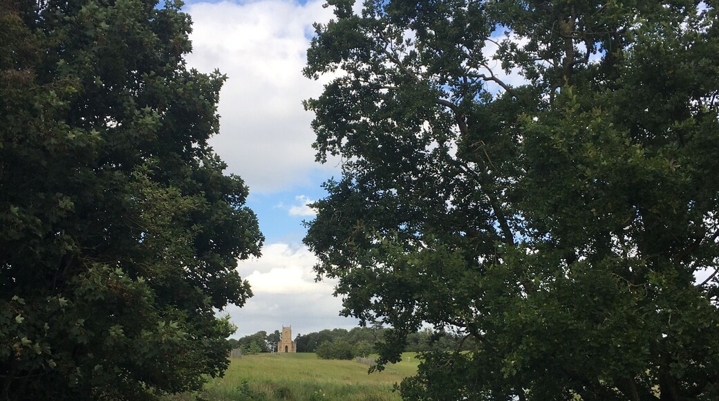 Park walks with beautiful views at Croome Court.