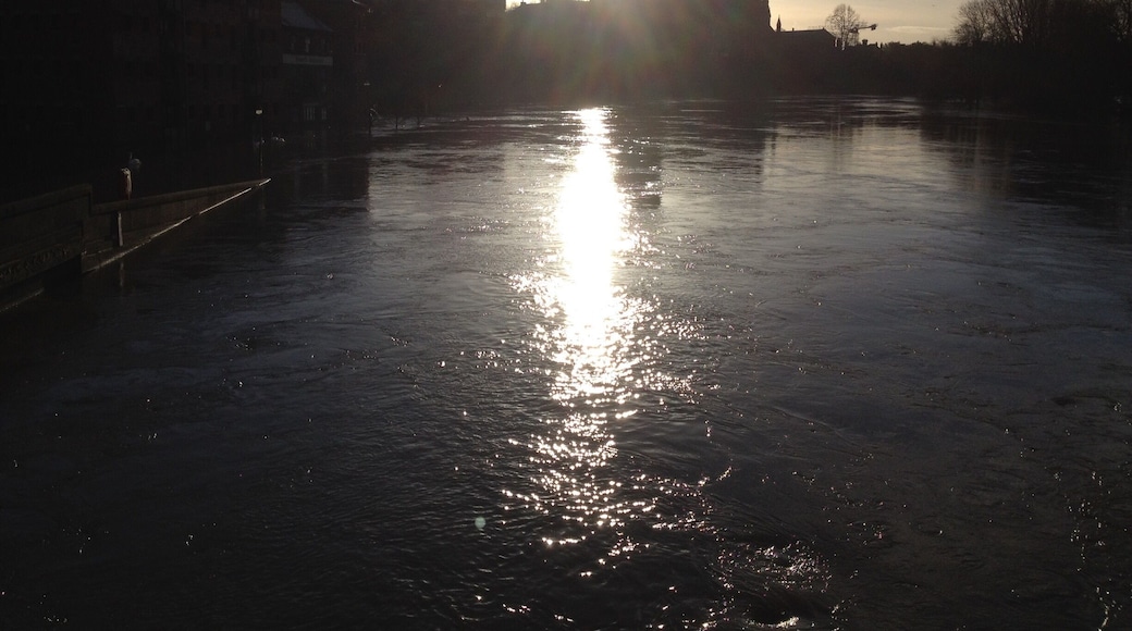 Worcester cathedral during the floods