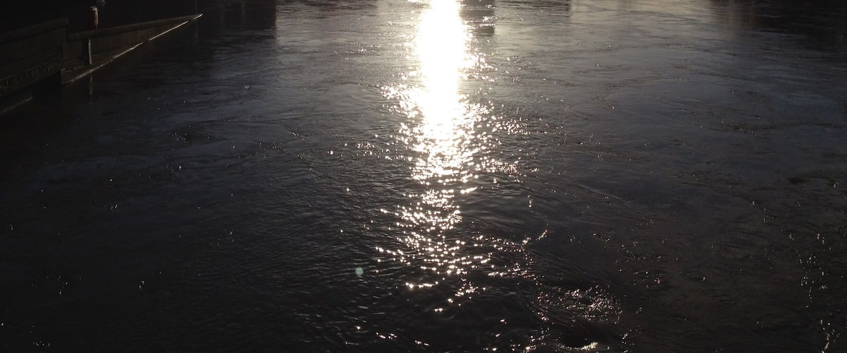 Worcester cathedral during the floods