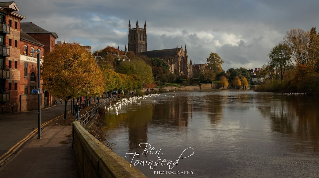 A great bridge with a cracking view of the Worcester Skyline.