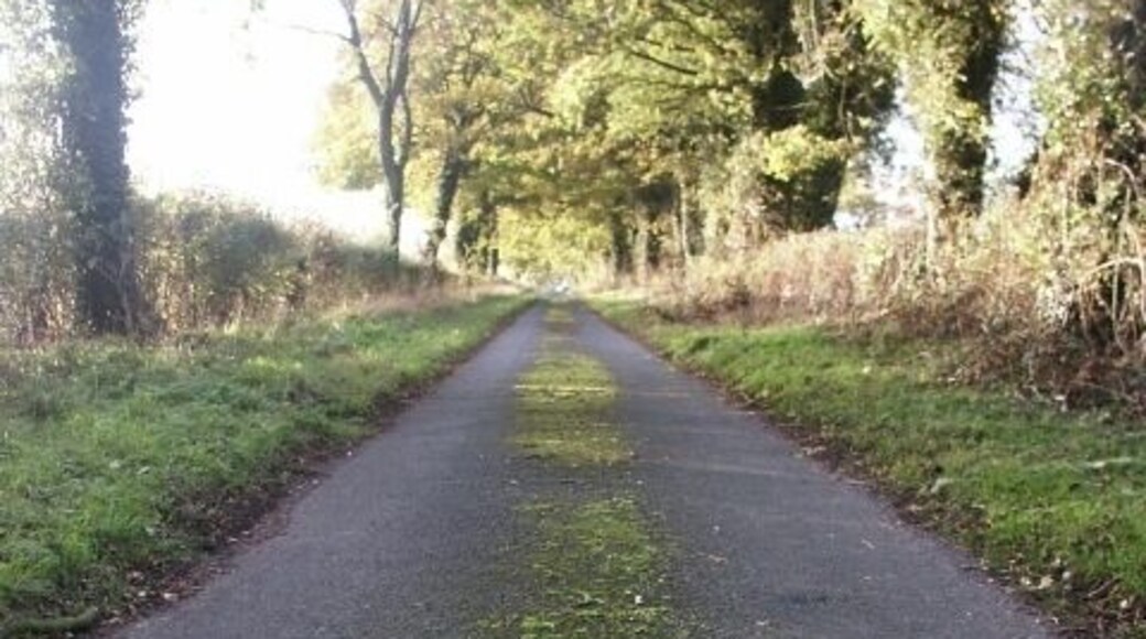 Slutshole Lane, Spooner Row Funnily enough, there was no street sign on this lane (probably stolen!) - although there may be one at the other end. It's cut by the railway now, and I didn't fancy the round trip to check! I can't find any information online as to where this name may derive from, but a Geograph reader emailed me (thank you!) to say: "The name seems to come from sluice or sluits, a derivative of the Dutch for sluice (sluis). Slutch has also been mentioned which means a build up of gritty sludge... as you can see none of which anything remotely rude... I can confirm both road signs were stolen many years ago!" Addition: I've been informed that this road name is number one in this book: http://tinyurl.com/ynmwhe.