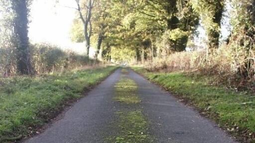 Slutshole Lane, Spooner Row Funnily enough, there was no street sign on this lane (probably stolen!) - although there may be one at the other end. It's cut by the railway now, and I didn't fancy the round trip to check! I can't find any information online as to where this name may derive from, but a Geograph reader emailed me (thank you!) to say: "The name seems to come from sluice or sluits, a derivative of the Dutch for sluice (sluis). Slutch has also been mentioned which means a build up of gritty sludge... as you can see none of which anything remotely rude... I can confirm both road signs were stolen many years ago!" Addition: I've been informed that this road name is number one in this book: http://tinyurl.com/ynmwhe.