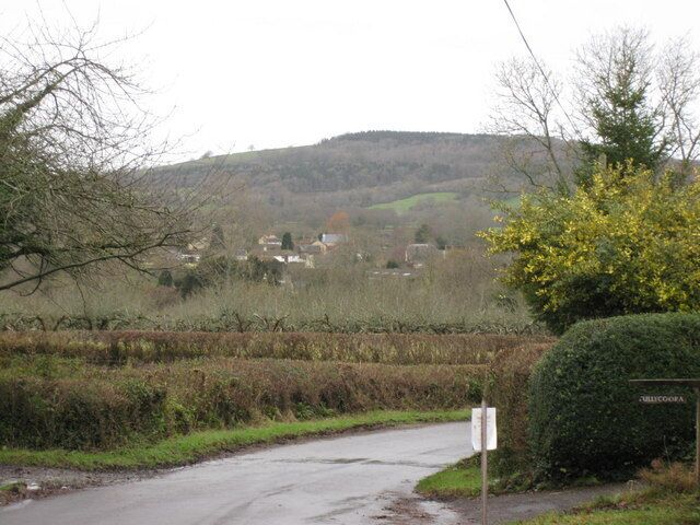 View of Halstock A view of Halstock with Dancind Hill in the background.