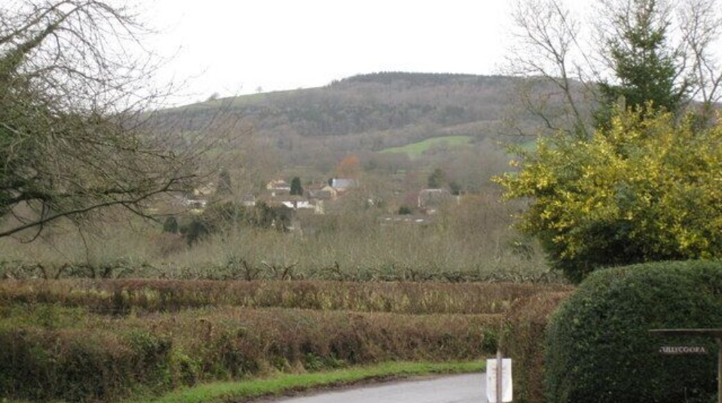 View of Halstock A view of Halstock with Dancind Hill in the background.
